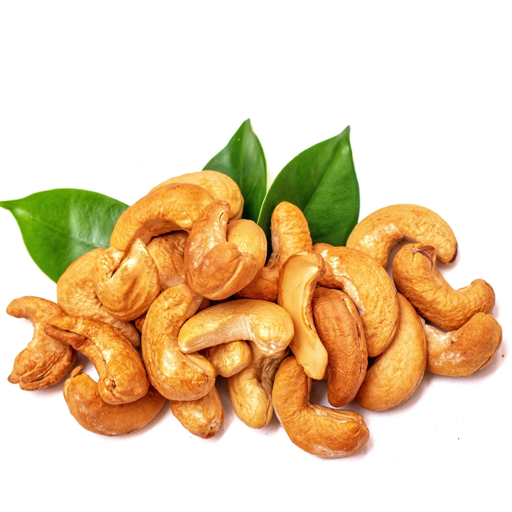 Fast Delivery Cashew Nuts Raw Using for Snack Food Moisture Broken 5% Max Cashew Nuts Exported to China US, EU, Middle East