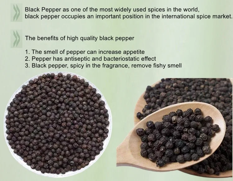 New crop Wholesale Chinese dried spices and herbs seasoning black peppercorns black pepper