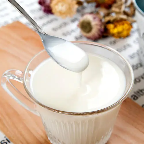 lactobacillus Yogurt Starter Culture for yogurt fermentation yogurt DIY