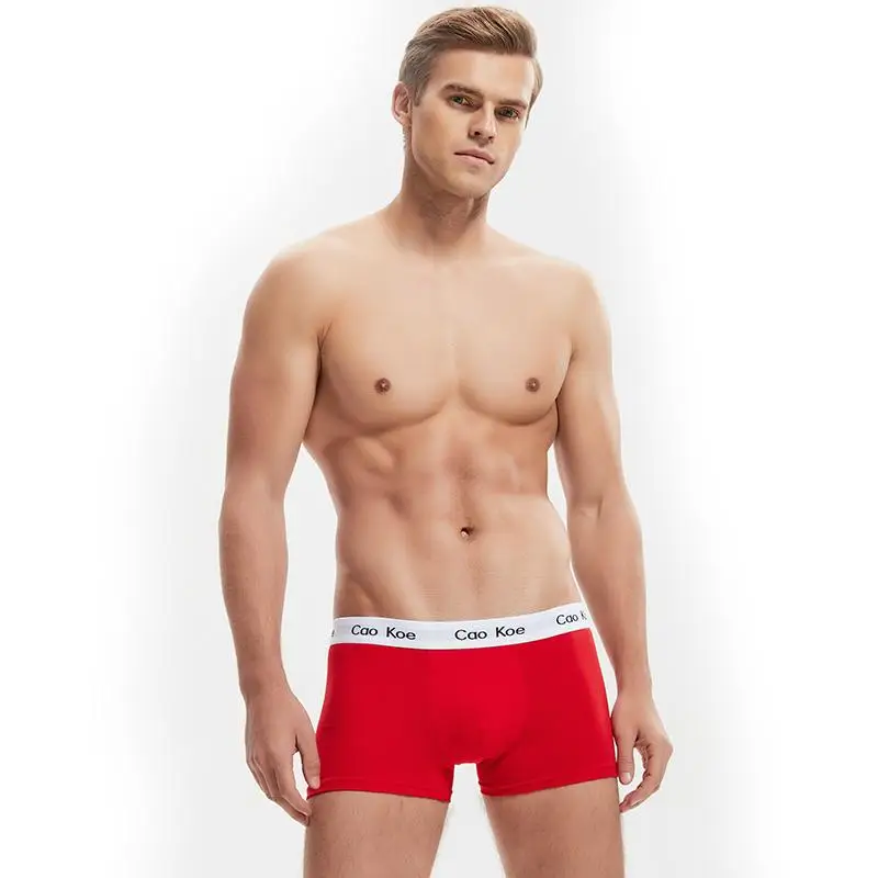 Drop shipping Wholesale Stock Lot Underwear For Man Custom Classical Cotton Boxer shorts Male Basics Boxer Briefs