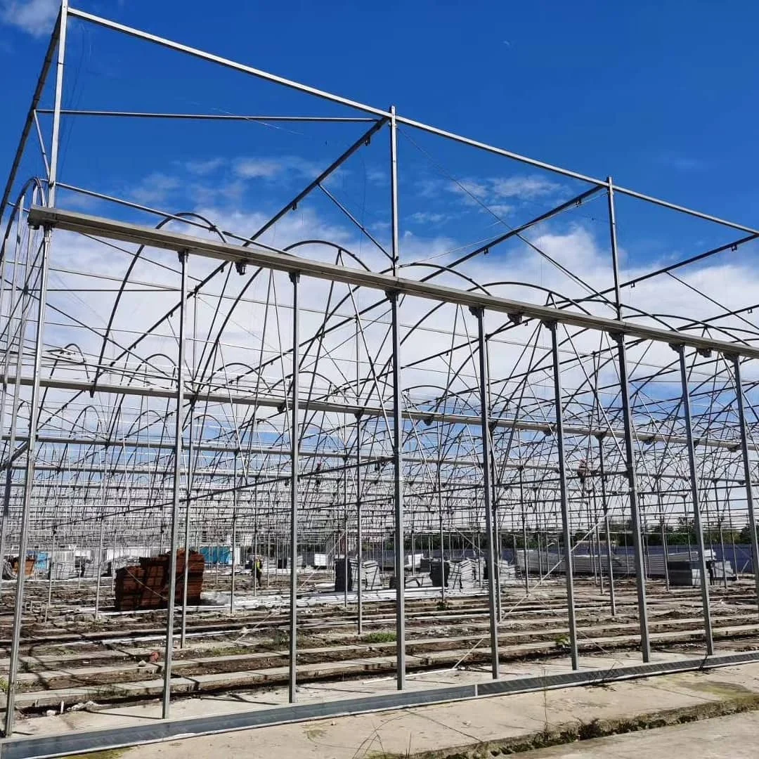 Large Commercial Greenhouses Agriculture Greenhouse