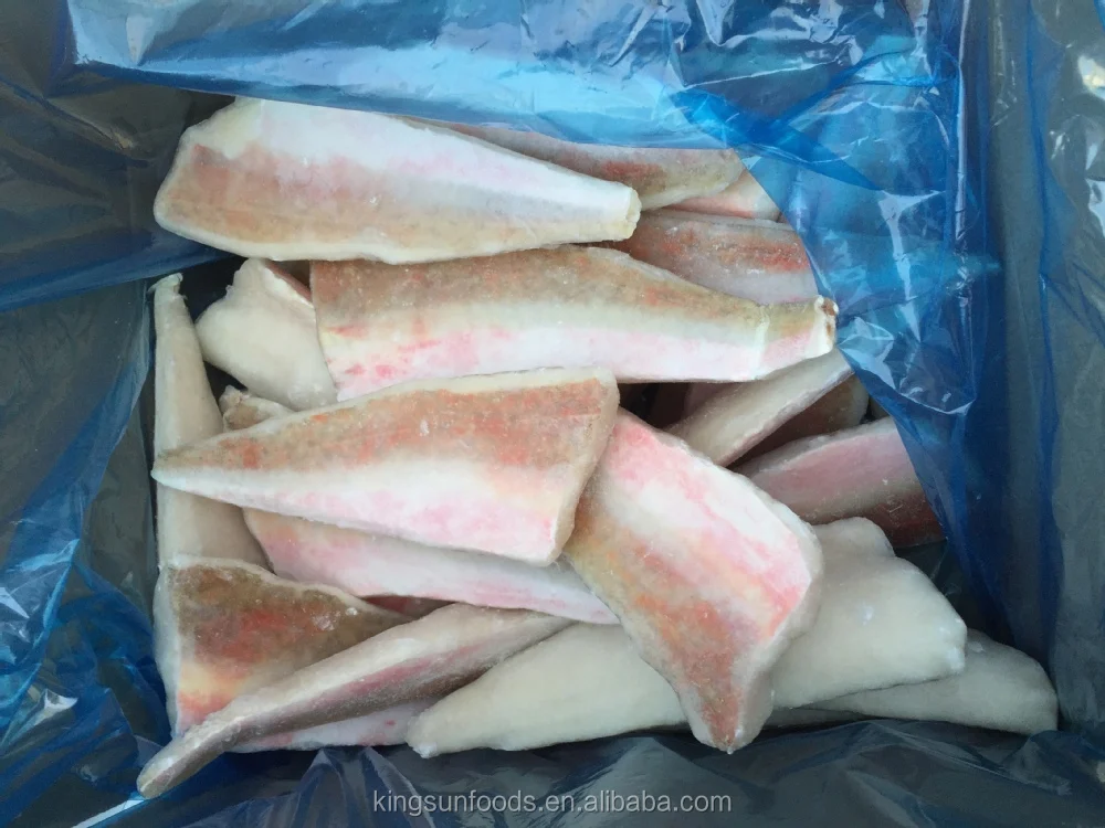 Frozen Red Gurnard филе оптом премиальное качество красное поставщики