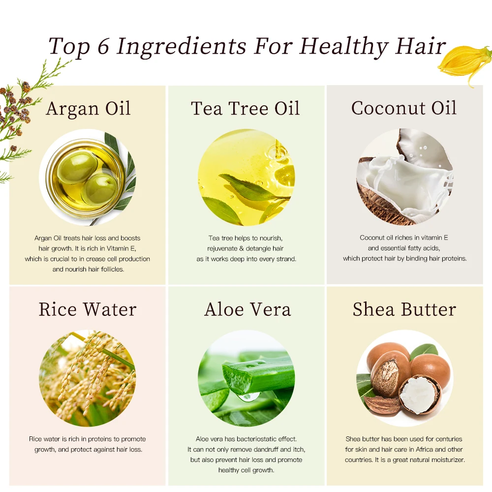 Private label organic sulfate free aloe nourish rosemary oil Argan oil repairing mask shampoo and conditioner hair care set