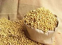 soy isoflavone professional producer pure soybean extract