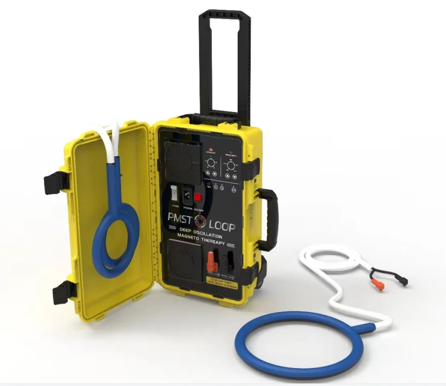 10000GS PEMF magnetic therapy back and shoulder pain home device