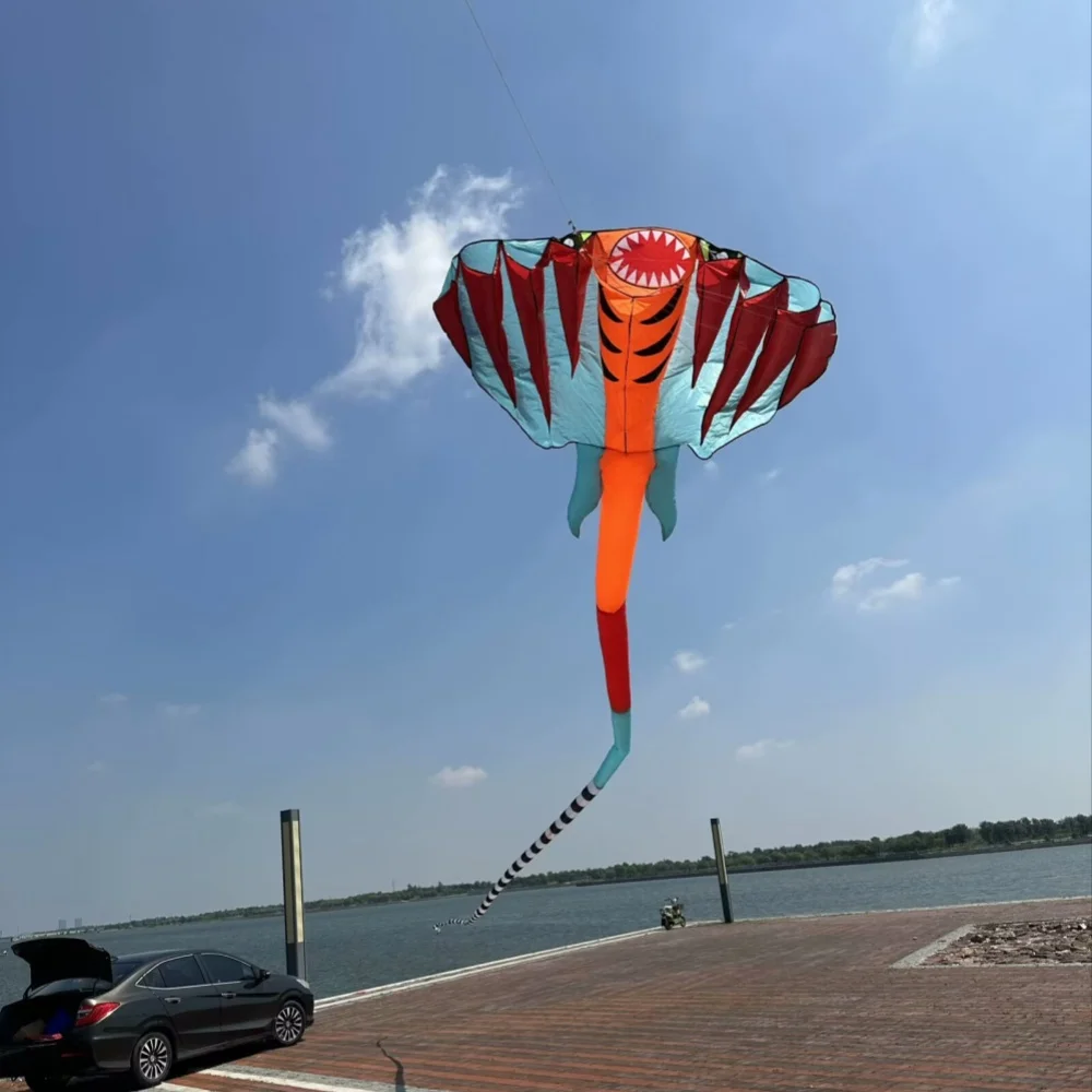 3D 12.5M 2-color Ray Soft Kite Outdoor Beach Professional Kites Umbrella Cloth Waterproof And Tear Resistant Inflatable Kite