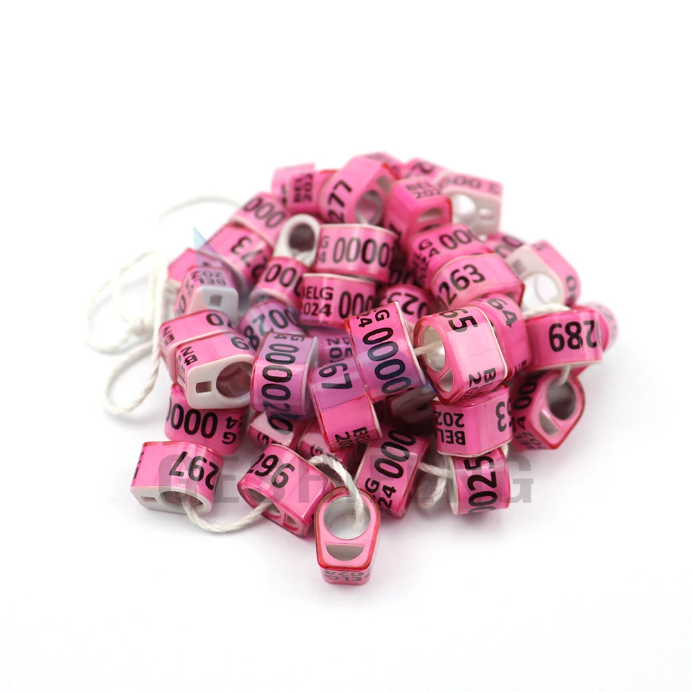 GESHIFENG Custom Logo Name Number Electronic Aluminium And Plastic Racing Pigeon Ring Bird Foot Ring
