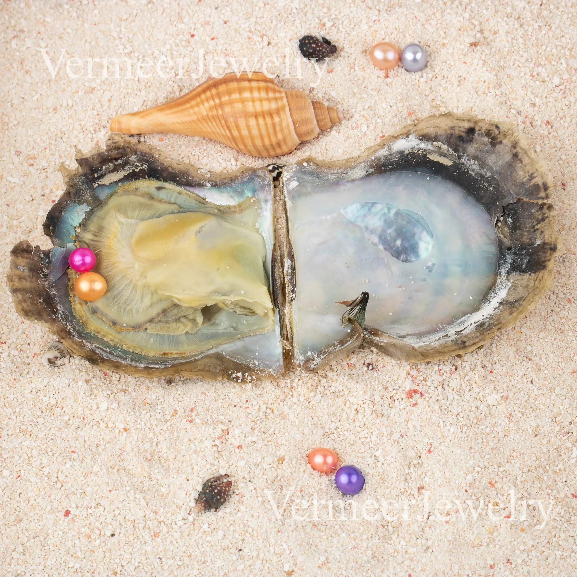 Love Wish Pearl Party Gift Vacuum-packed 6-7mm 4a quality akoya 2 pearl in oyster Cultured twin akoya Oyster