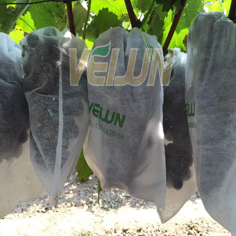 Hight Quality Garden Grape/Banana/Orange Fruit Protection Bags