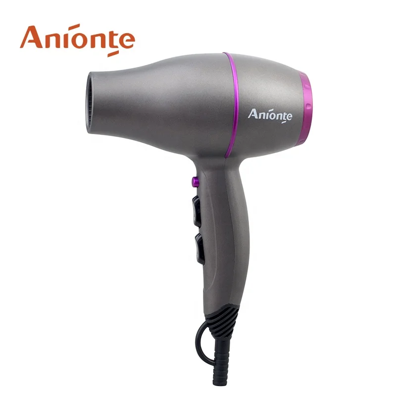 Mute function Mini professional AC motor Hair Dryer