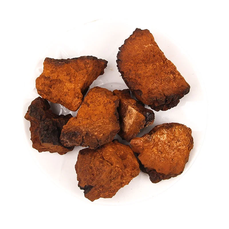 Low Price Wholesale Food Grade Chaga Healthy Herbs Dried Chaga Mushroom Chunk for Extract Raw Material