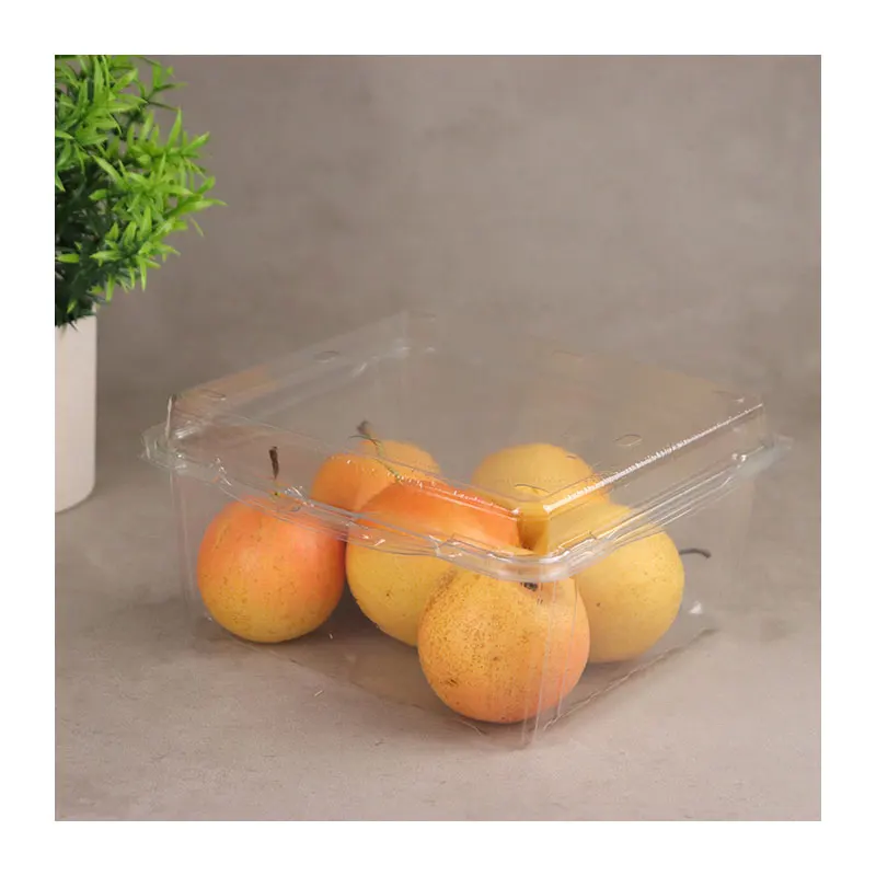Custom PET Fruit Box Packaging Plastic Container Eco Disposable Clear Food Grade Custom Plastic Box