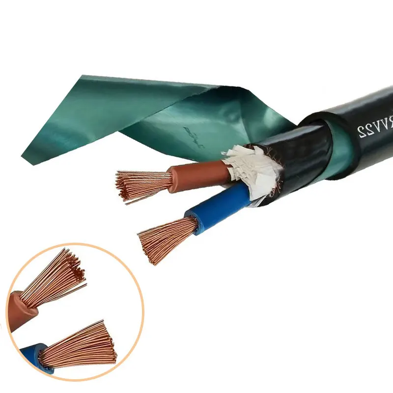 Multicore Flexible Electric Power RVV Copper Core Steel Tape Armoured Armored Shielded Control Wire Cable for Industrial Use