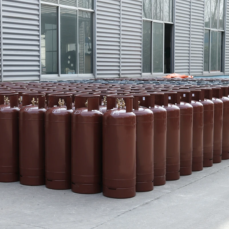 Safety-Assured 10Kg Portable Composite Lpg Gas Cylinder for Cooking With Certification