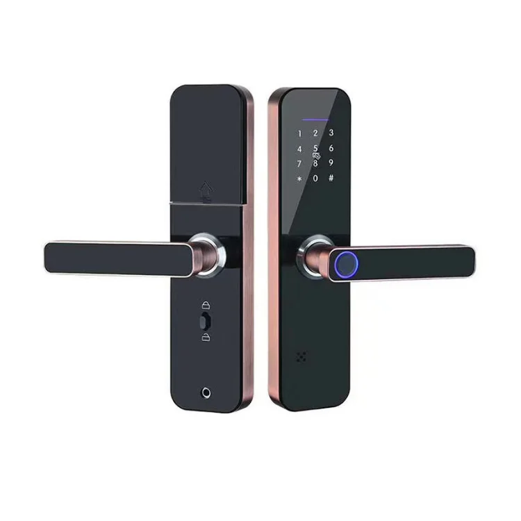 Office Frameless Secure Password Key Card Finger Print Biometric Cerraduras Para Puertas Smart  Door Locks