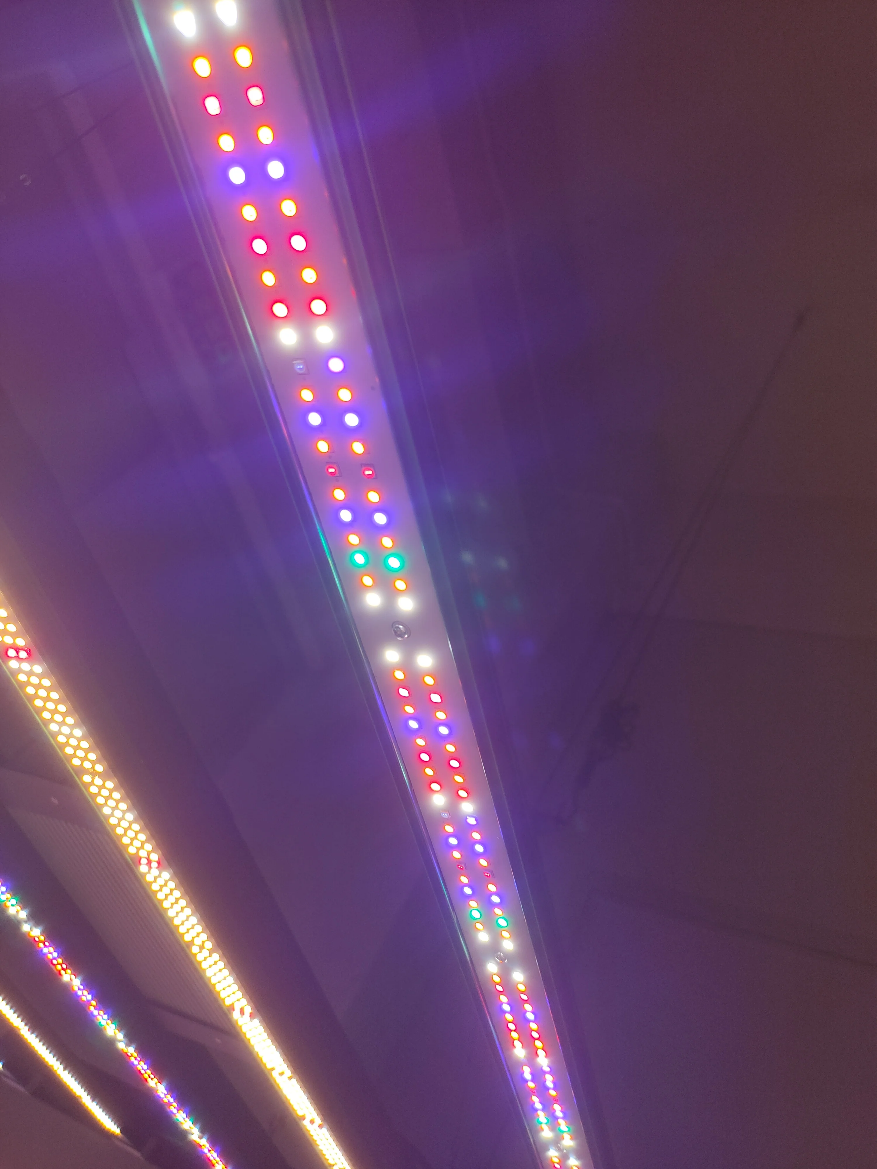 Led Grow Light UV IR Bar Led 100W Grow Light Led Bar Indoor Plant Grow Light