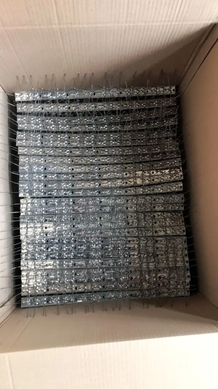 Bird Spikes for Pigeons Small Bird Anti Stainless Steel Bird Spikes