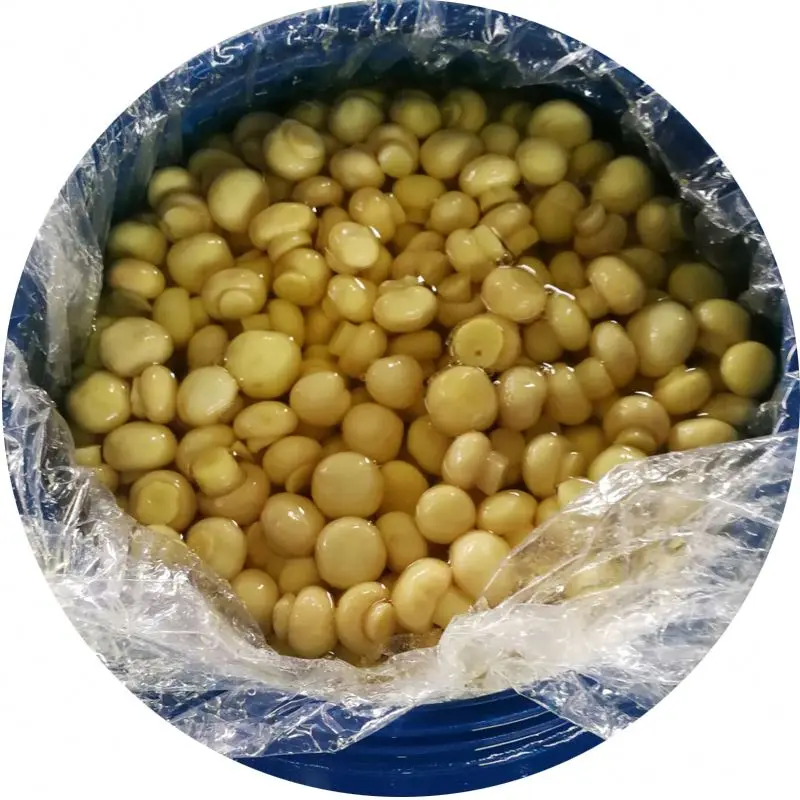 
shiitake champignons in brine 