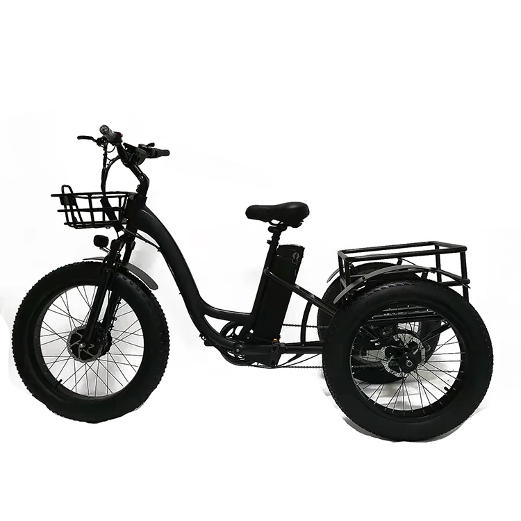 Safe and fast delivery 20 Inch  750W Motor Fat Tire 3 Wheel E Bike Tricycle  Adult Cargo Electric Bike With Basket