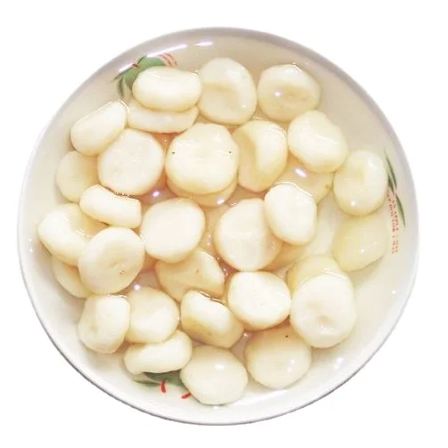 Manufacturer Canned Goods canned water chestnuts whole/sliced