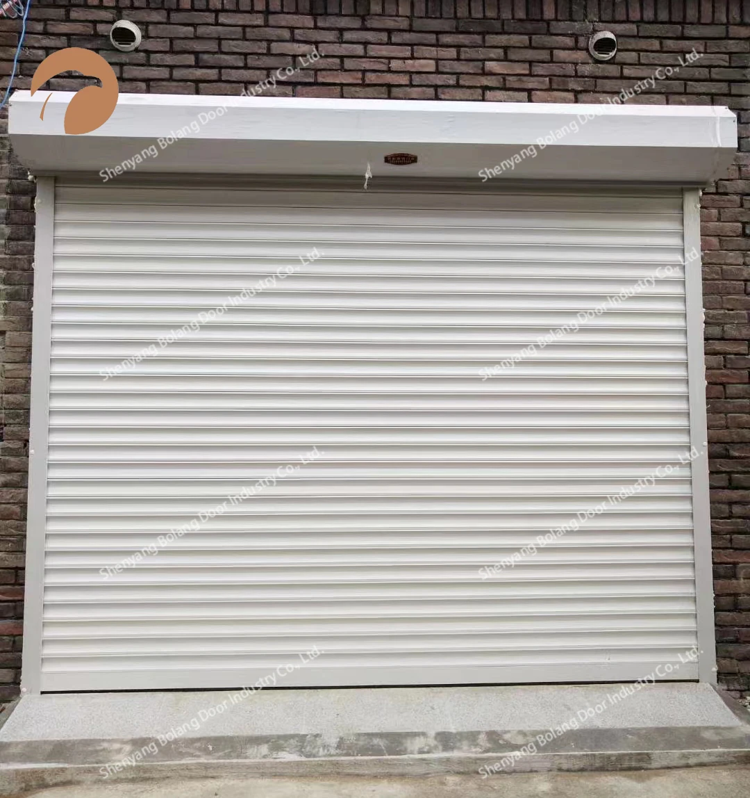 Windproof High Performance Galvanized steel Roller Shutter Doors With Good Price