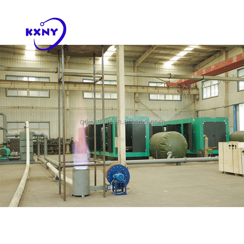 Hydrogen energy biomass gasifier plant hydrogen generator other renewable energy