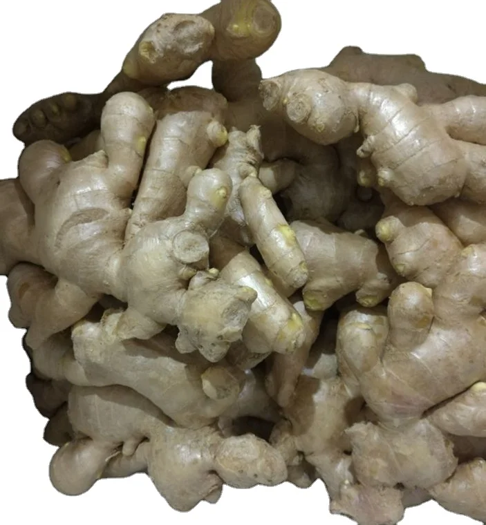 Chinese superior fresh /air dry ginger