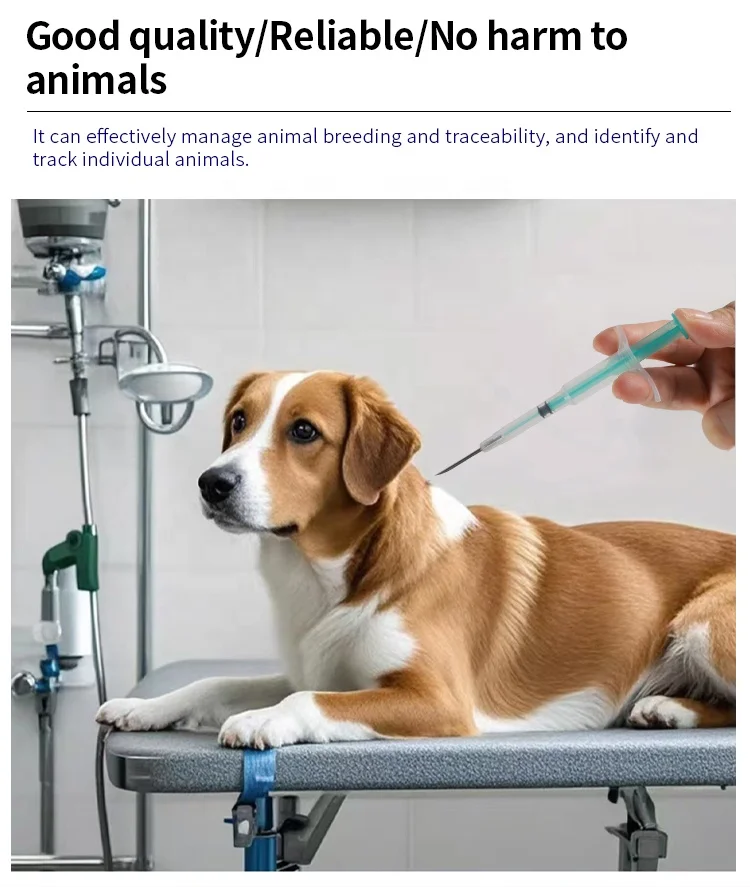 G-104 Animal ID 134.2KHZ Mini Glass Tag Injectable Microchip for Dogs Cats Pet RFID Transponder Microchip