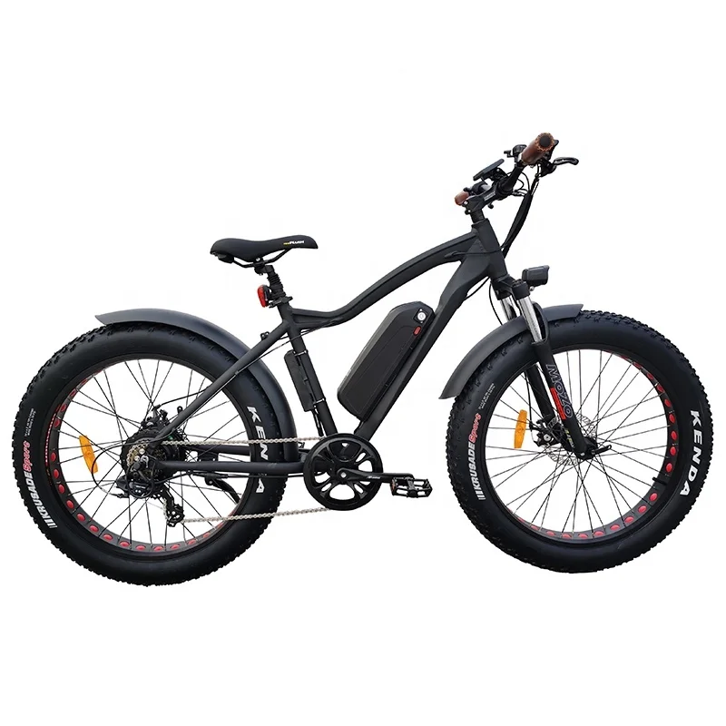 2021 Mountain Off Road E Bike 750W Rear Motor 26inch Fat Wheel Electric Bike Bicycle