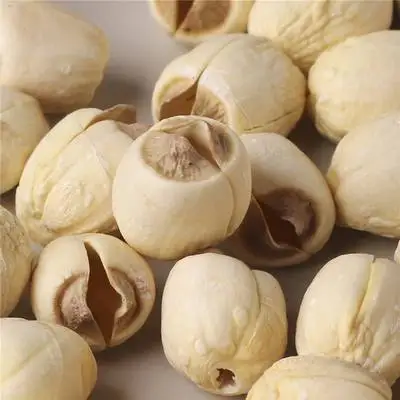 100% natural edible lotus nut white lotus seed no plumule