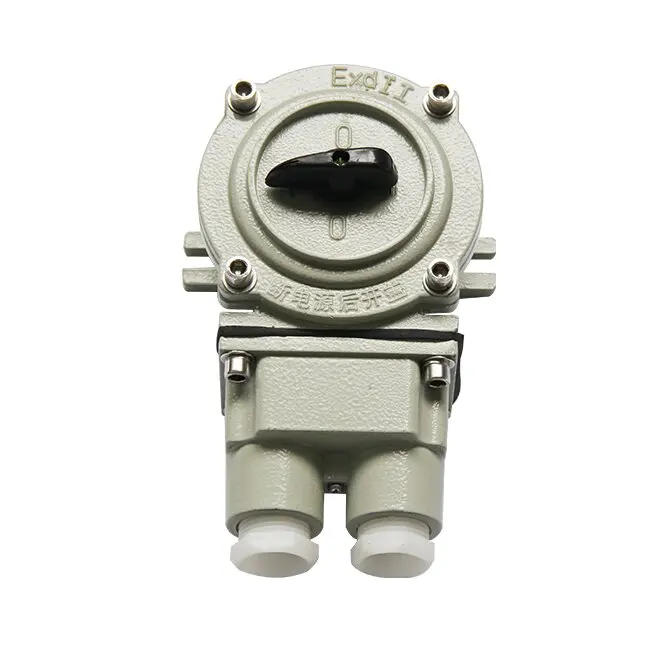 Flameproof Switch Zone 1 Zone 2 for Water Treatment Facilities Transportation
