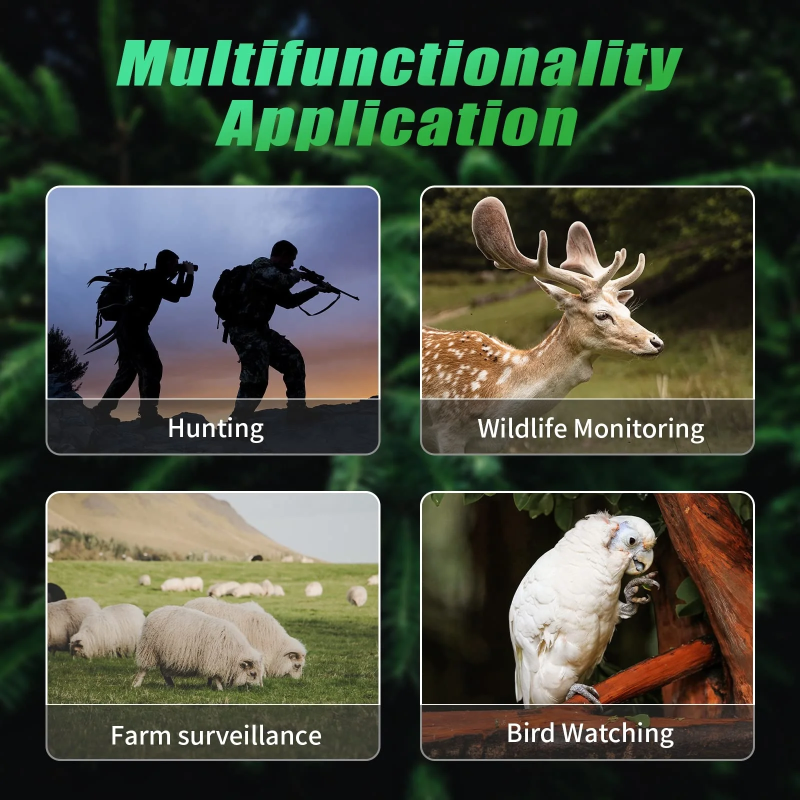 Autofocus Night Vision Binoculars Rechargeable 800M Viewing Range HD Digital Full Color Night Vision Binoculars for Hunting