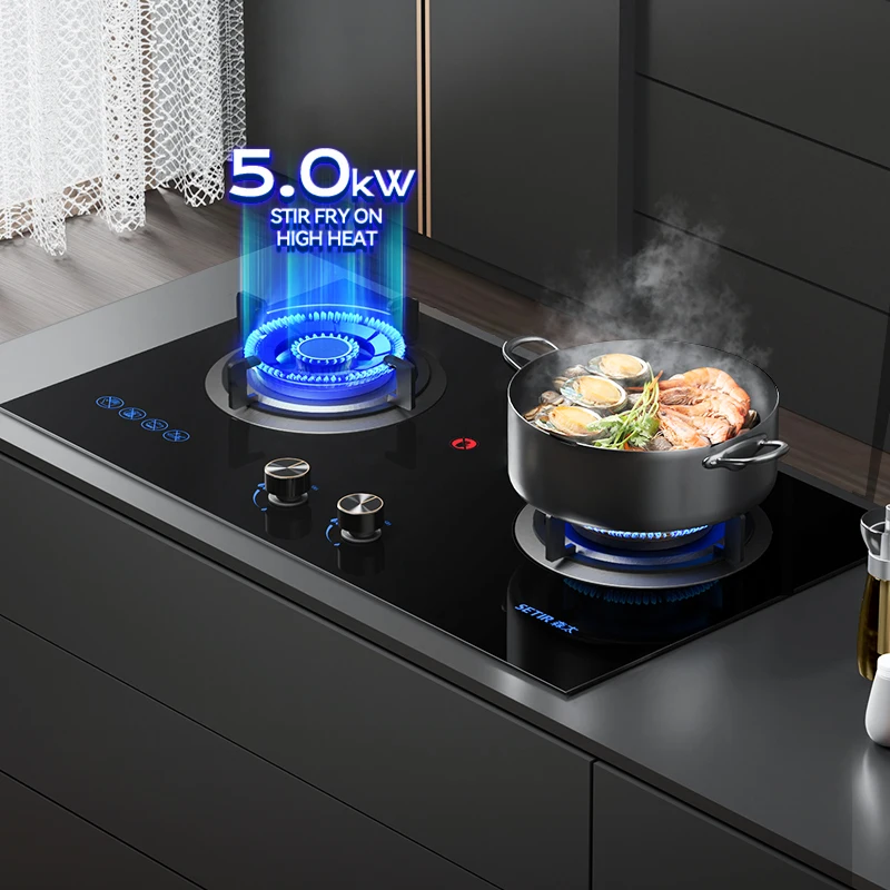 T006 Прямая продажа с завода изысканный внешний вид 2 горелки встроенное настольное оптовая Кухонное электрическое устройство для приготовления пищи