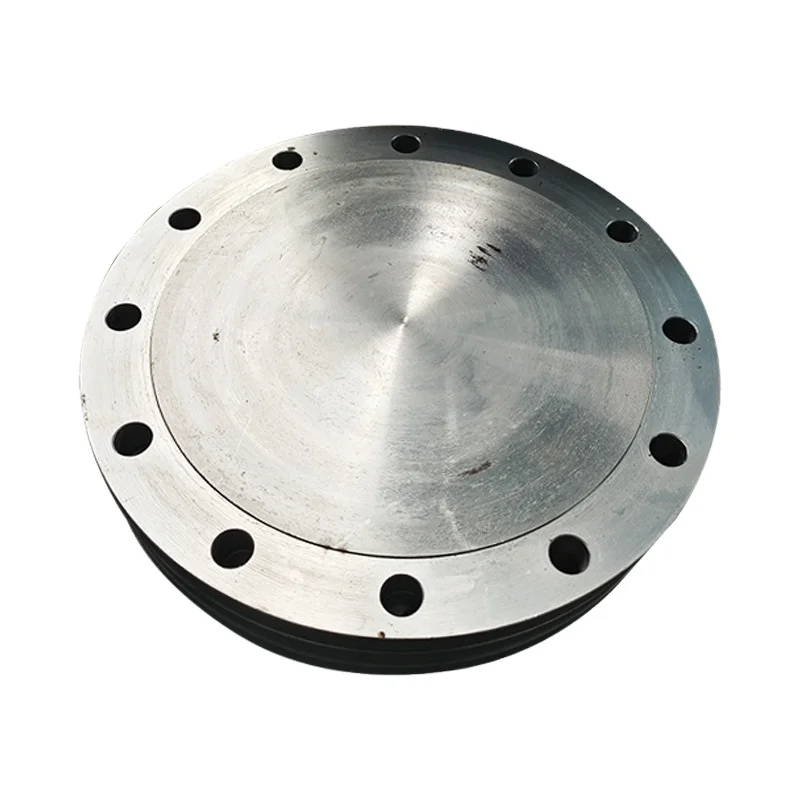 Factory Stainless steel with neck flange forging flat welding piece large diameter high pressure with neck flat welding Flanges