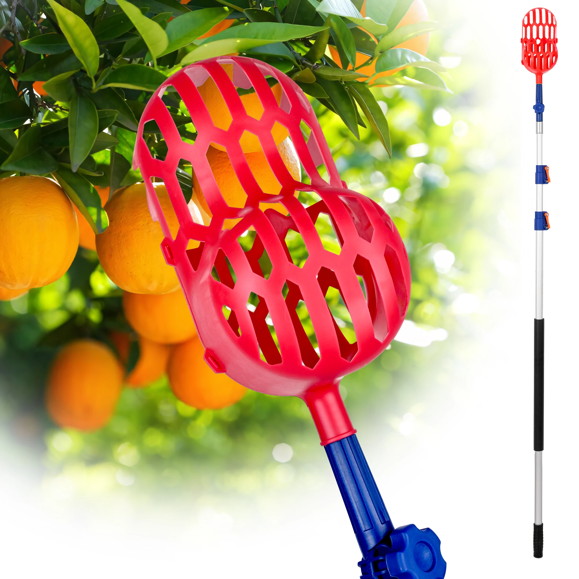 12FT 24FT 24FT 30FT Fruit Picker with Aluminum Alloy Telescopic Extension Pole  for Apples Mango Pear Orange Avocados