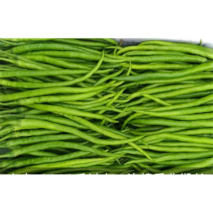 Factory Direct Supply Hybrid F1 Green To Red Hot Red Pepper Seedsot Conditions