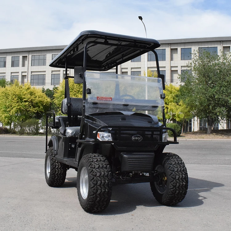 Multifunctional 2 seats electric golf cart utility vehicle with ac