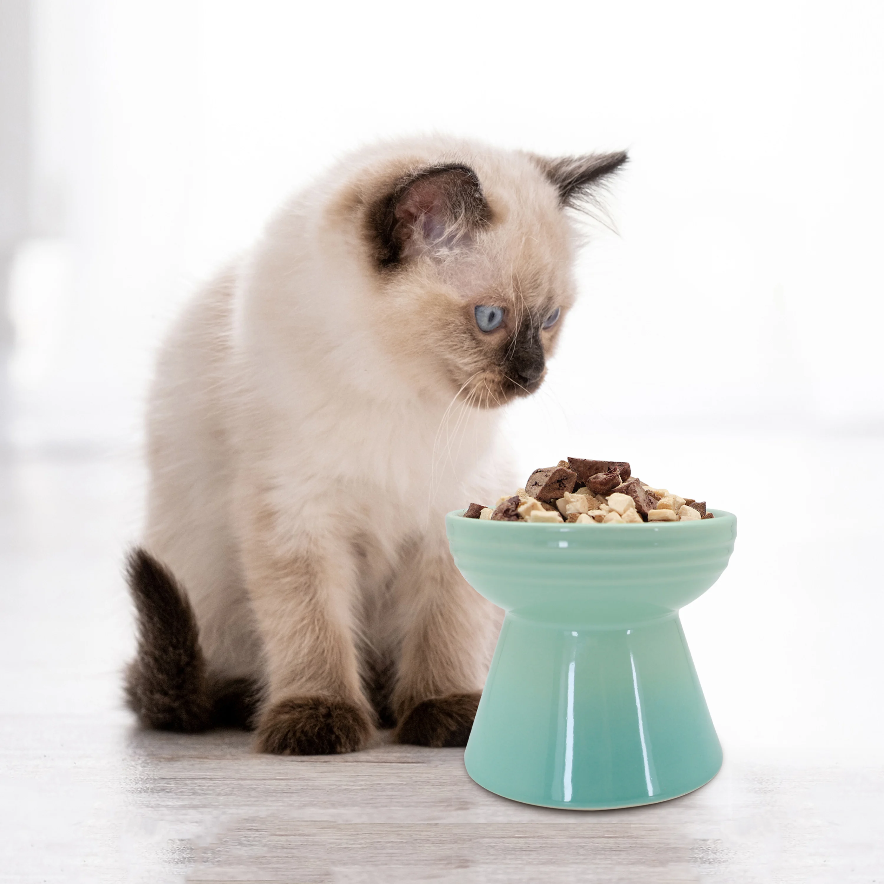 Ranova oem import enjoy feed dog cat food treat supplier rabbit snack meat collection for  private label pet foods scale