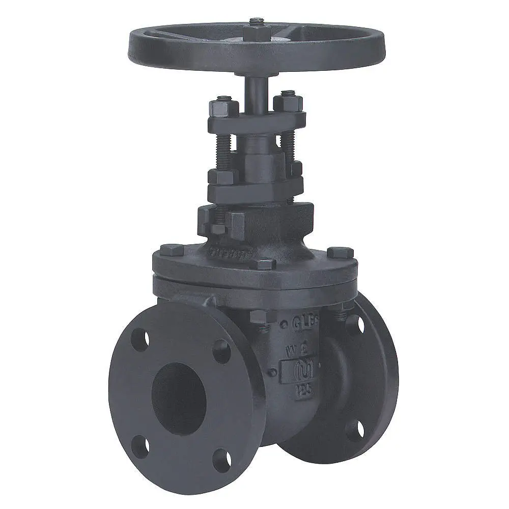 Milwaukee brand iron gate globe and check valves  ANSI class 125(OEM)