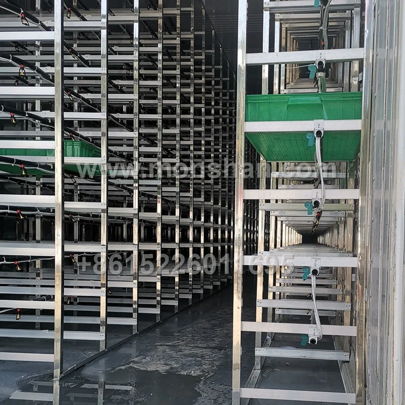 Container Farm Hydroponic Forage Sprout Chamber For Cow