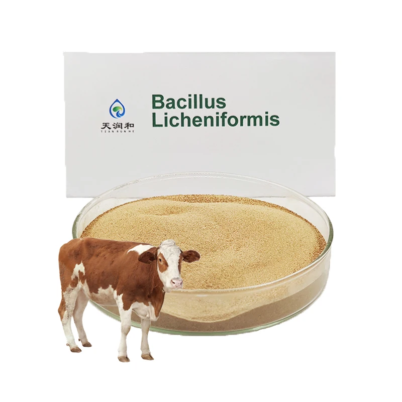 Animal Feed Additives Bacillus licheniformis Livestock Feed Additive