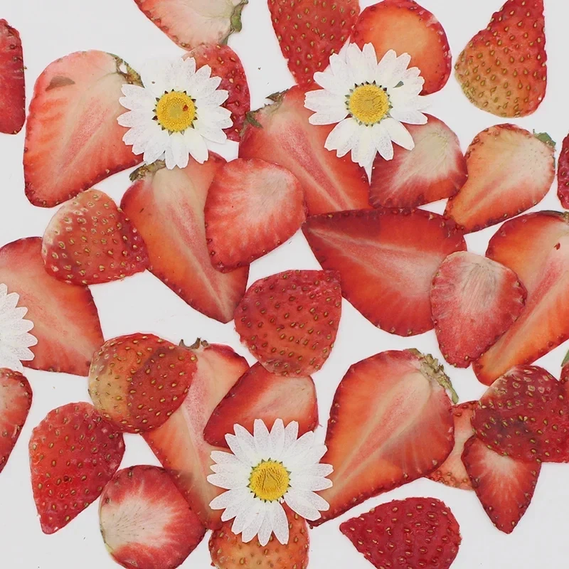 Real Dried Pressed Fruit Pressed Strawberry Kiwi Mixed Fruit Slices No reviews yet