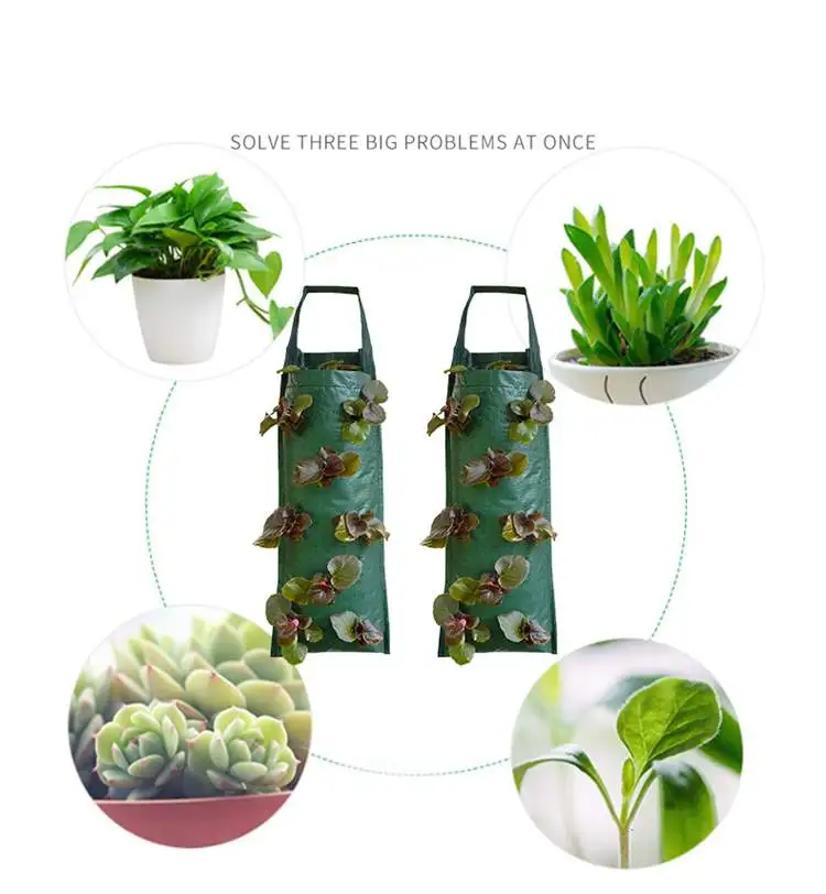 Wholesale Strawberry Tomato Planter Bags Plant Pot Container Non-Woven Vertical Garden Hanging Plants Grow B