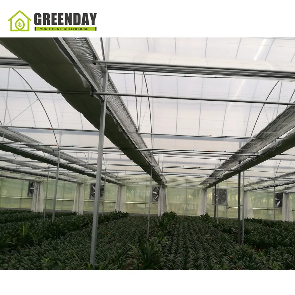 
GREENDAY Indoor hydroponics 4/8 burners CO2 generator greenhouse plant growth 