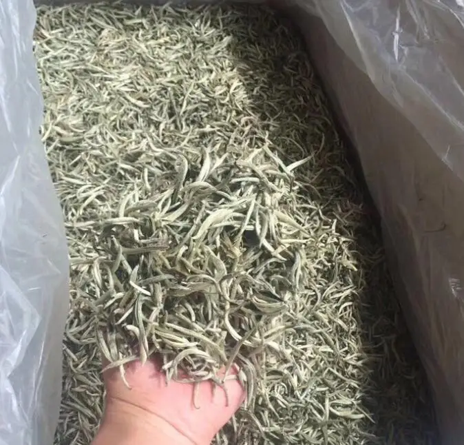 Yin zhen cha china Silver Needle tea for sale