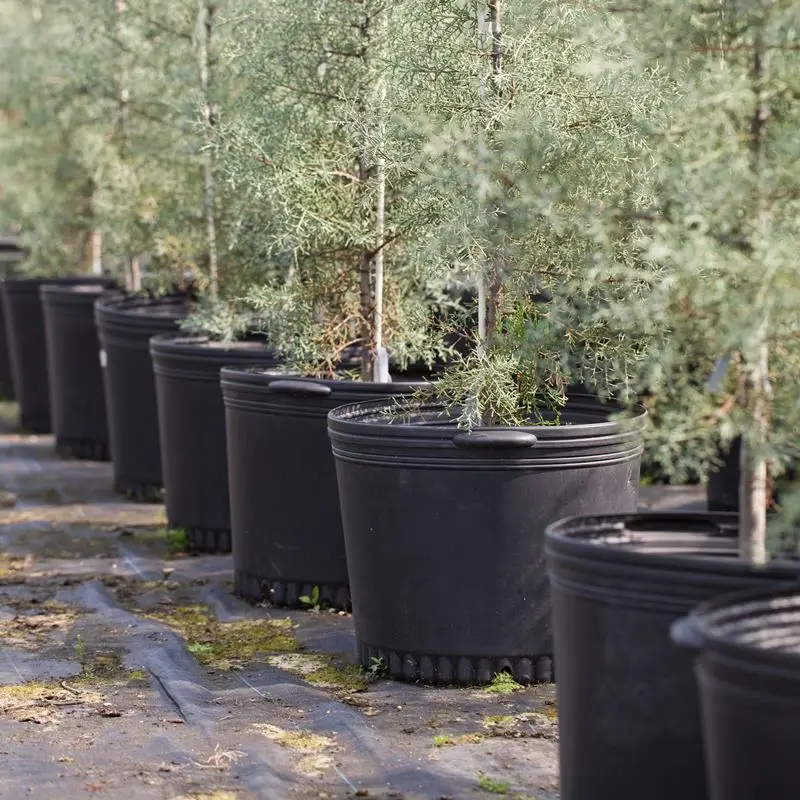 Hot Sell 1/2/3/5/6/7/10/15 Gallon Durable Black Plastic Nursery Pots