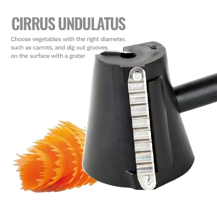Kitchen Gadget Shredded Tool Funnel Flower Roller Knife Spiral Slicer Vegetable Sharpener Blade Peeler Carrot Skin Peeler