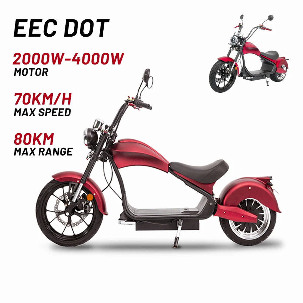 Europe EU COC EEC DOT Drop shipping Electric Ruckus Scooter Mini Citycoco Off Road Motorcycle