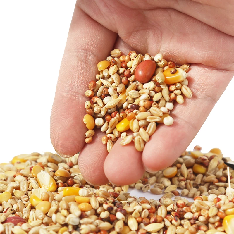 Hamster Food Pure Natural Custom Label Mixed Seed Millet Seed Hamster Food