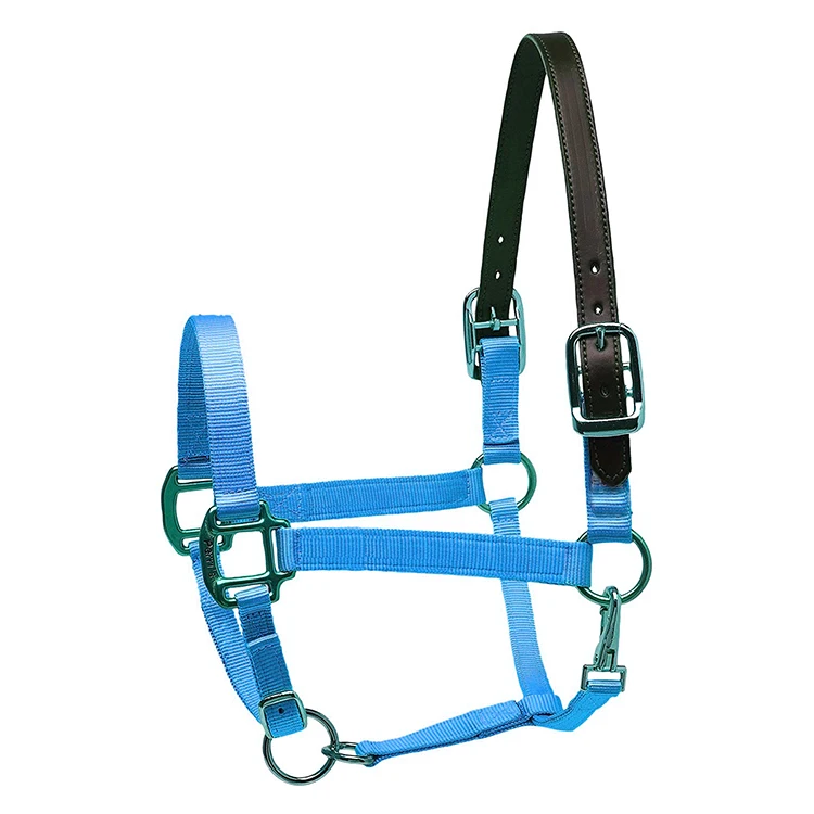  Оптовая продажа высокое качество лошадь headcollars производитель оборудование для лошадей в вашем собственном дизайне нейлоновые с лямкой на